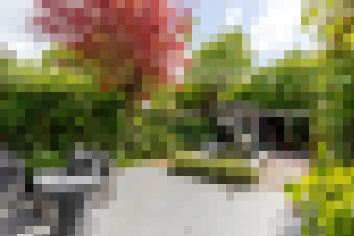 Couwenhoven 6245 Zeist thumbnail 34