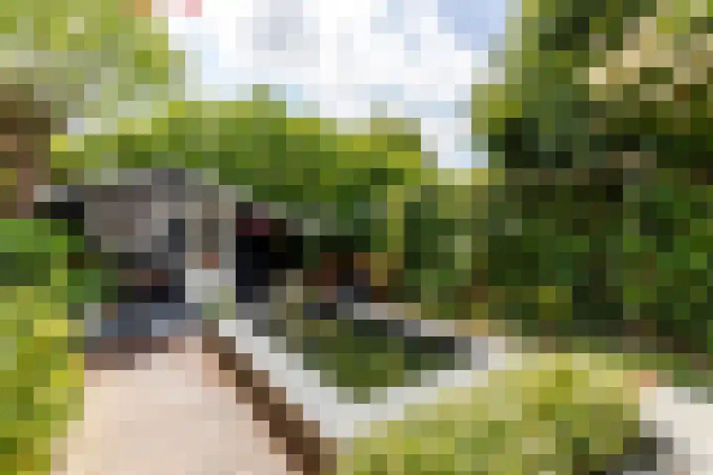 Couwenhoven 6245 Zeist thumbnail 35