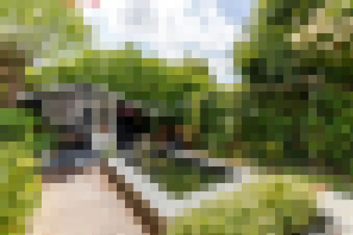 Couwenhoven 6245 Zeist thumbnail 35