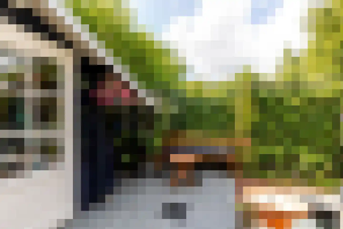 Couwenhoven 6245 Zeist thumbnail 36