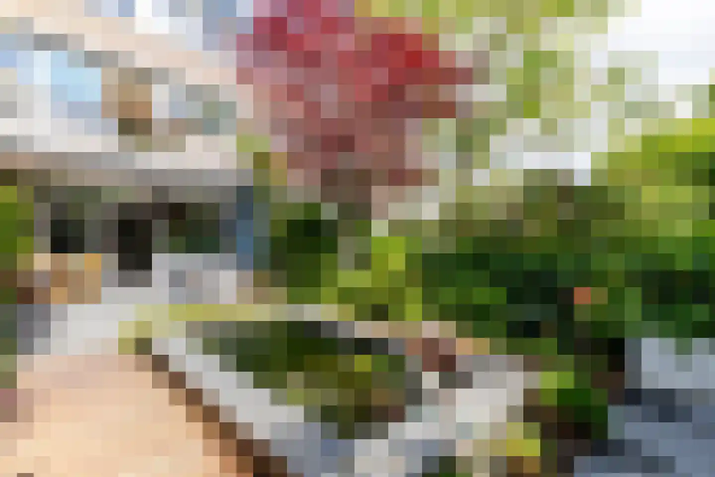 Couwenhoven 6245 Zeist thumbnail 37