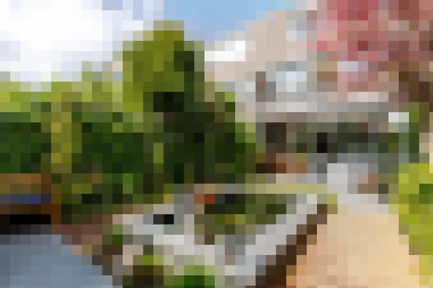 Couwenhoven 6245 Zeist thumbnail 38