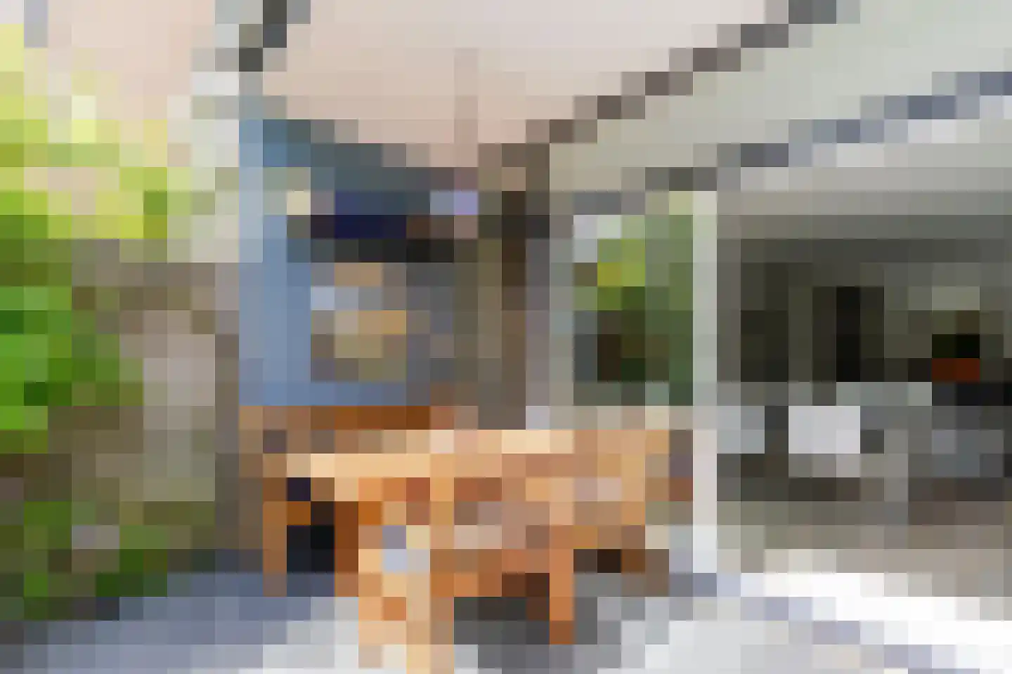 Couwenhoven 6245 Zeist thumbnail 40