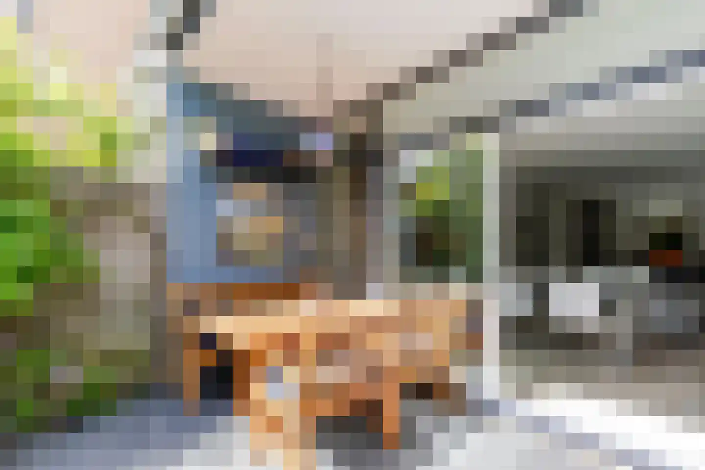 Couwenhoven 6245 Zeist thumbnail 40