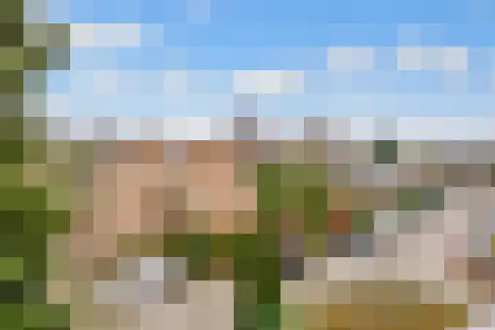 Couwenhoven 6257 Zeist thumbnail 25