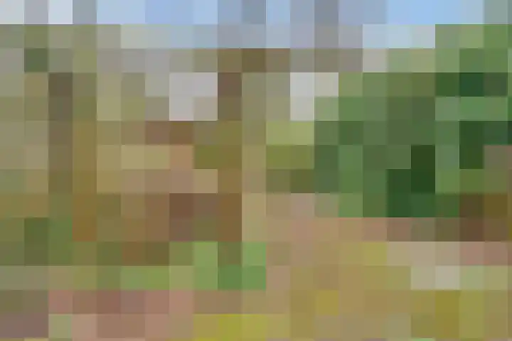 Couwenhoven 6257 Zeist thumbnail 29