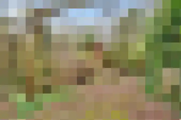 Couwenhoven 6257 Zeist thumbnail 30