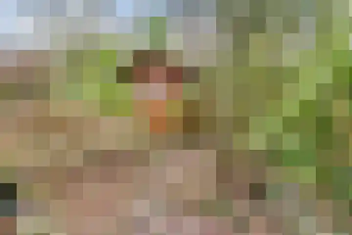 Couwenhoven 6257 Zeist thumbnail 31