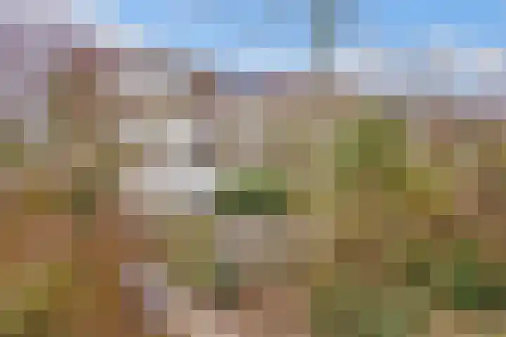 Couwenhoven 6257 Zeist thumbnail 33