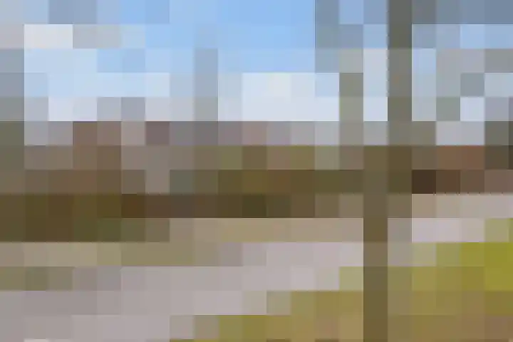 Couwenhoven 6257 Zeist thumbnail 35