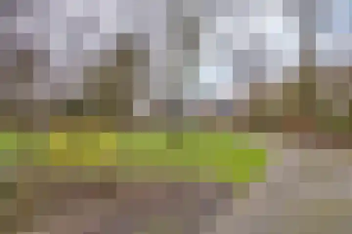 Couwenhoven 6257 Zeist thumbnail 37