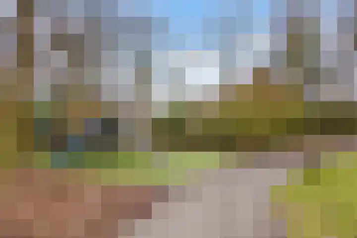 Couwenhoven 6257 Zeist thumbnail 38