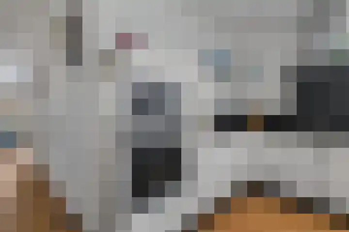 Couwenhoven 6414 Zeist thumbnail 18