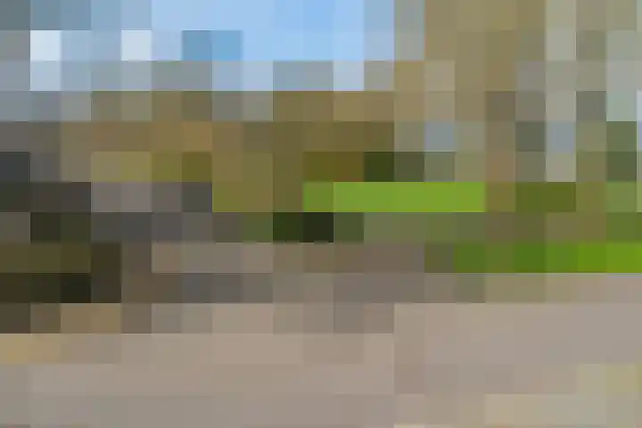 Couwenhoven 6414 Zeist thumbnail 33