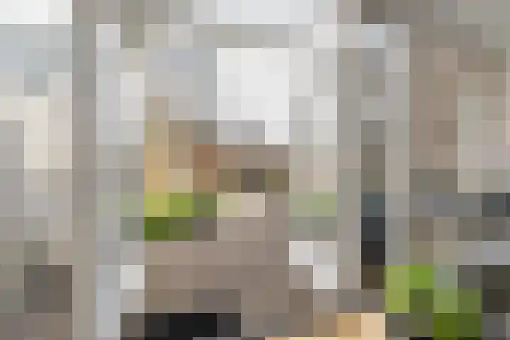 Couwenhoven 6414 Zeist thumbnail 36