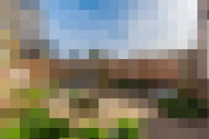 Couwenhoven 6414 Zeist thumbnail 37