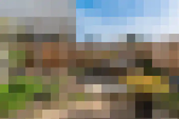 Couwenhoven 6414 Zeist thumbnail 38