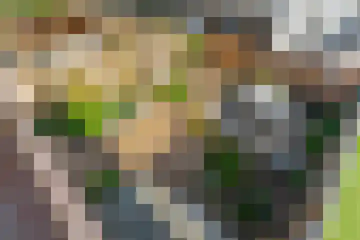 Couwenhoven 6414 Zeist thumbnail 39