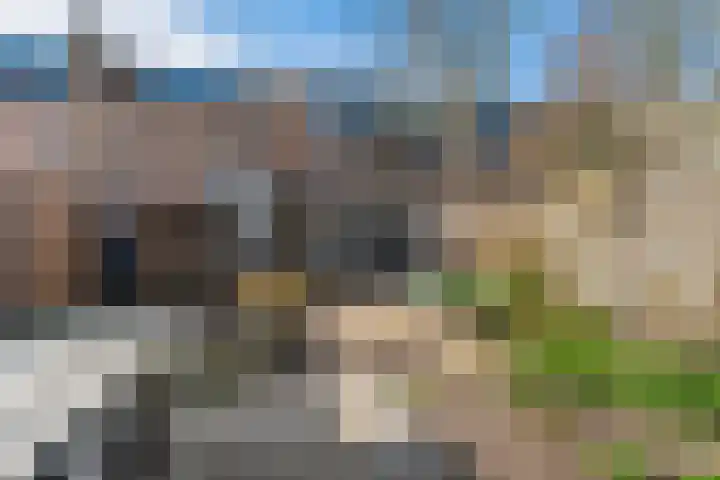 Couwenhoven 6414 Zeist thumbnail 40