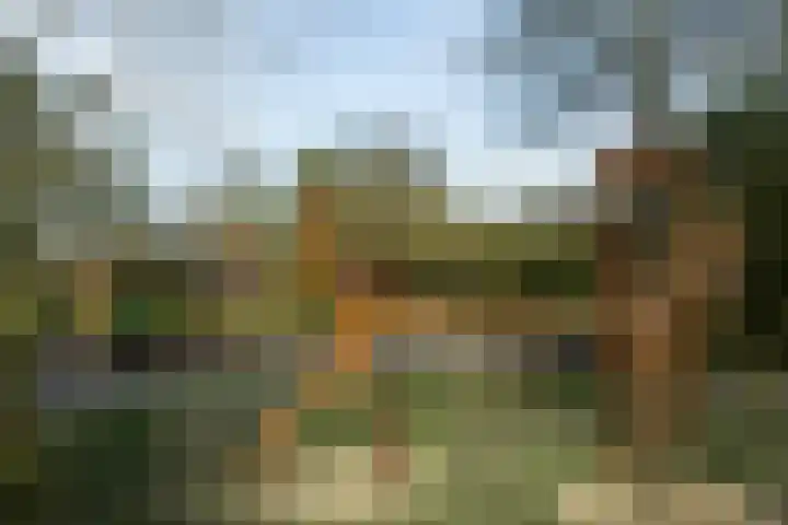 Couwenhoven 6414 Zeist thumbnail 41