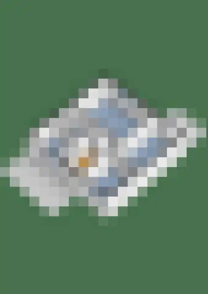 Couwenhoven 6414 Zeist thumbnail 47