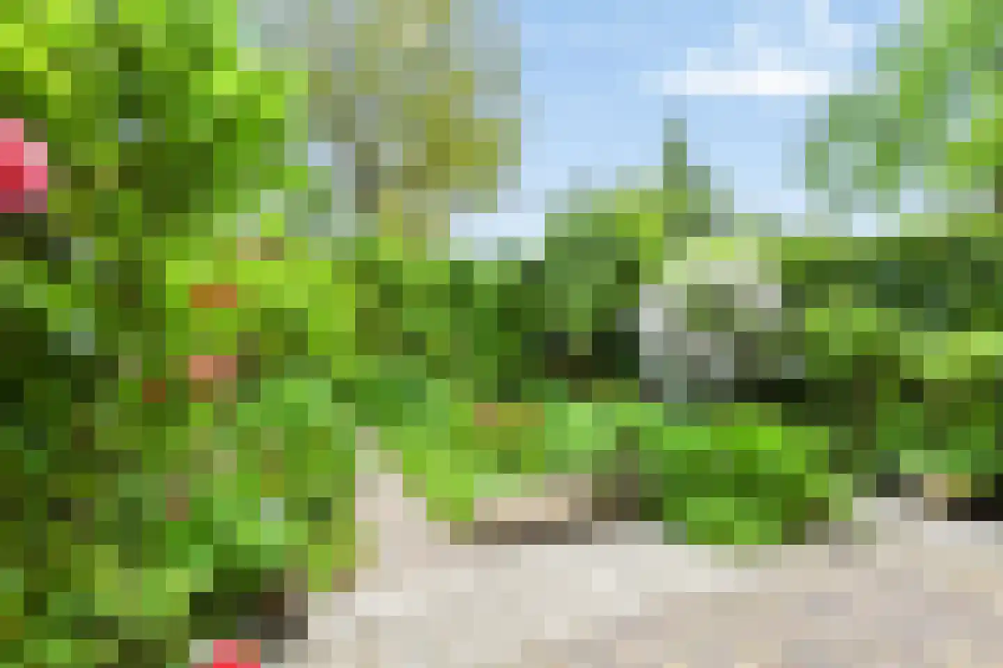 Couwenhoven 6507 Zeist thumbnail 17