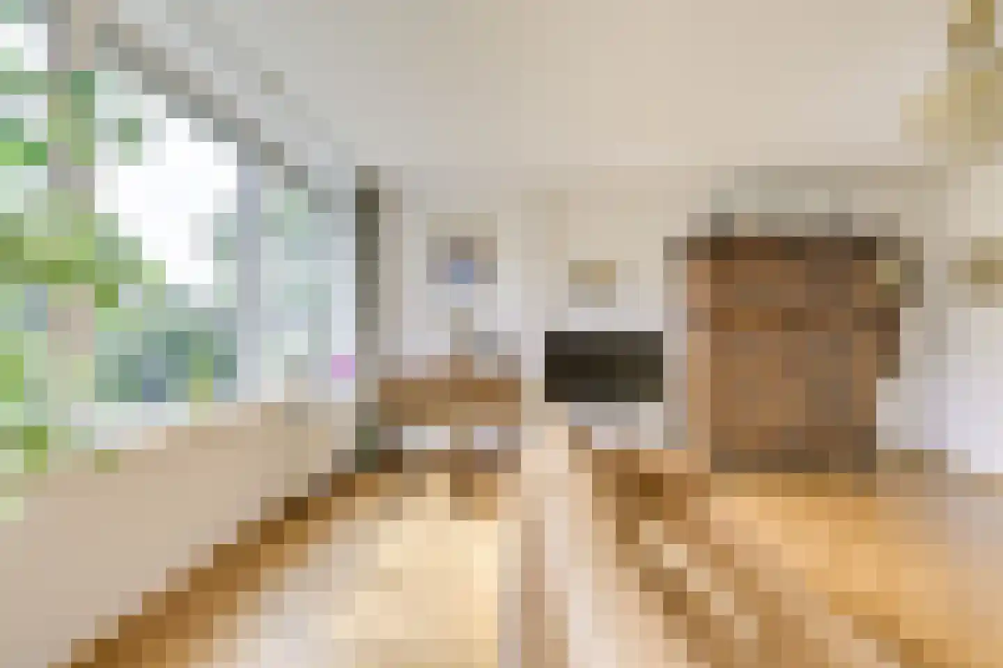Couwenhoven 6507 Zeist thumbnail 26