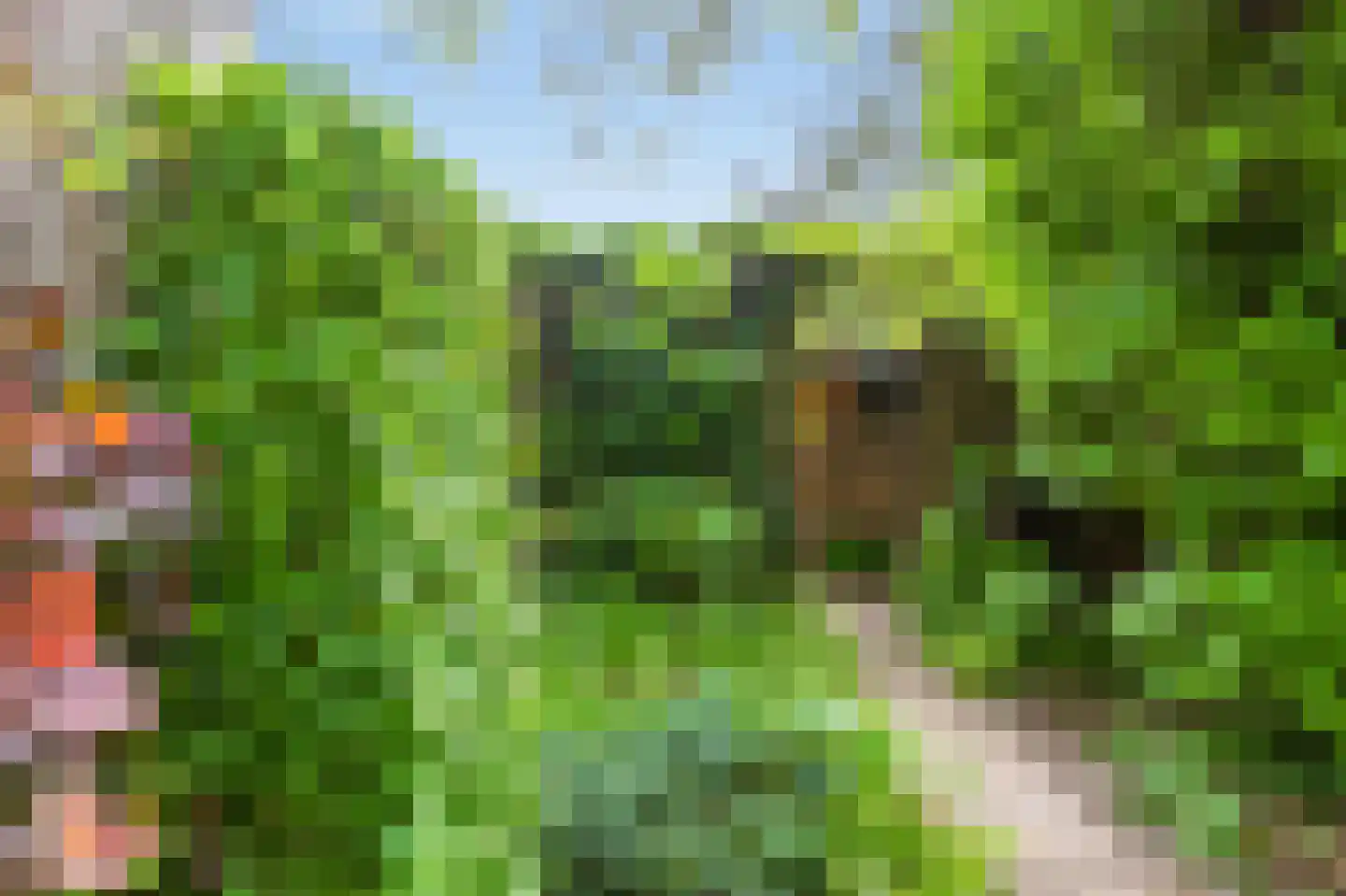 Couwenhoven 6507 Zeist thumbnail 44