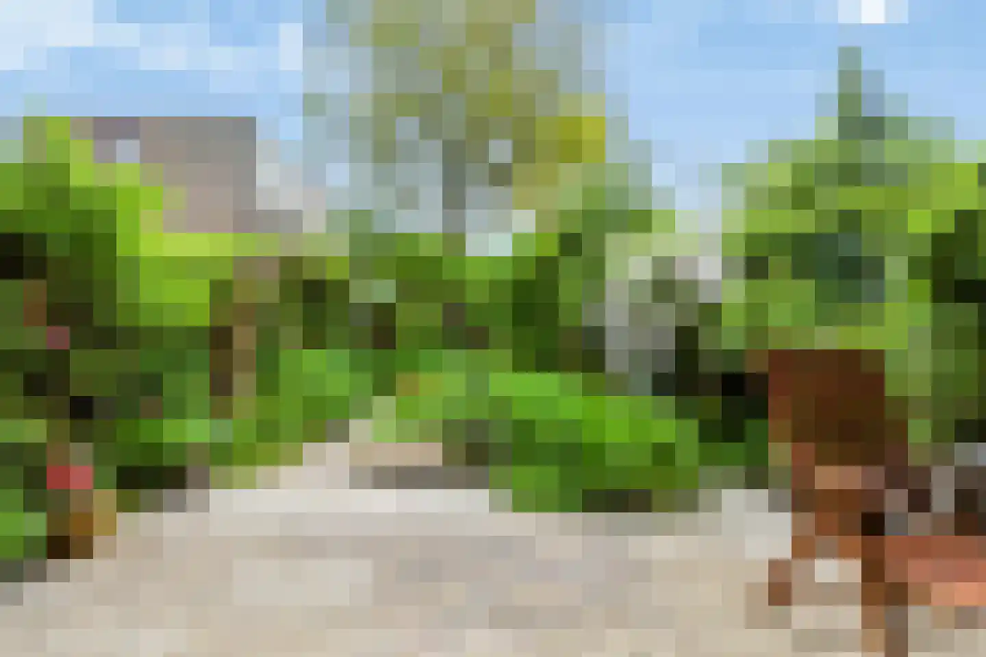 Couwenhoven 6507 Zeist thumbnail 46