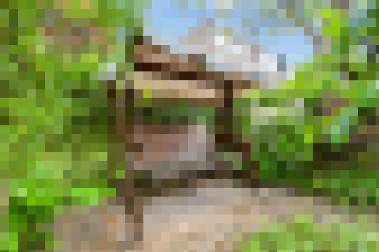 Couwenhoven 6507 Zeist thumbnail 47