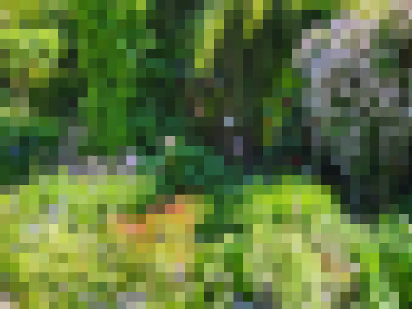 Couwenhoven 6507 Zeist thumbnail 5