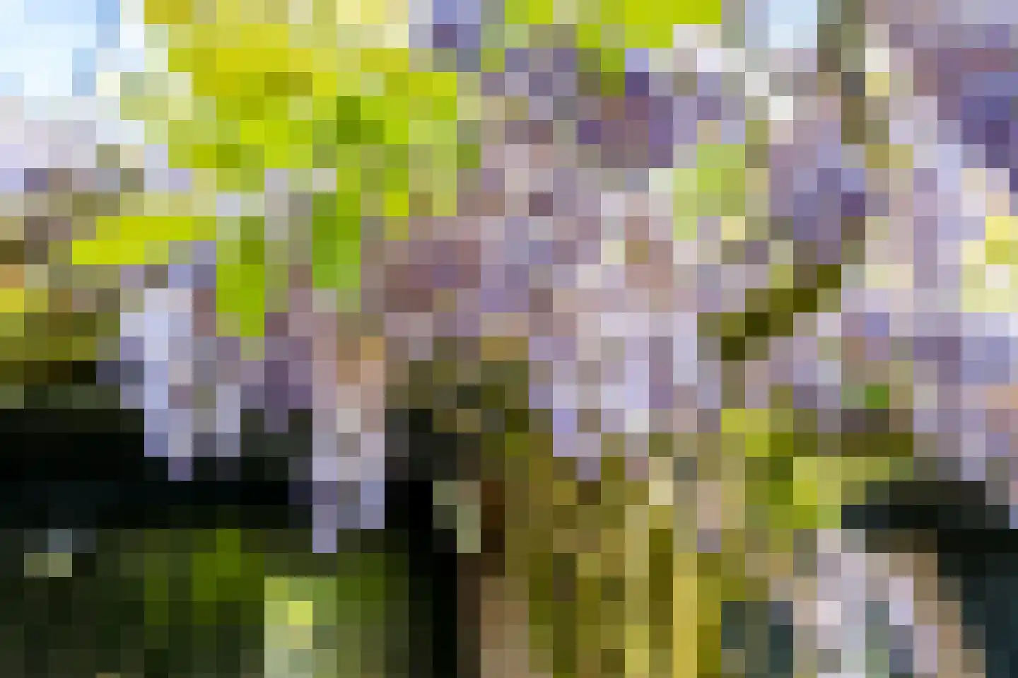 Couwenhoven 6507 Zeist thumbnail 6