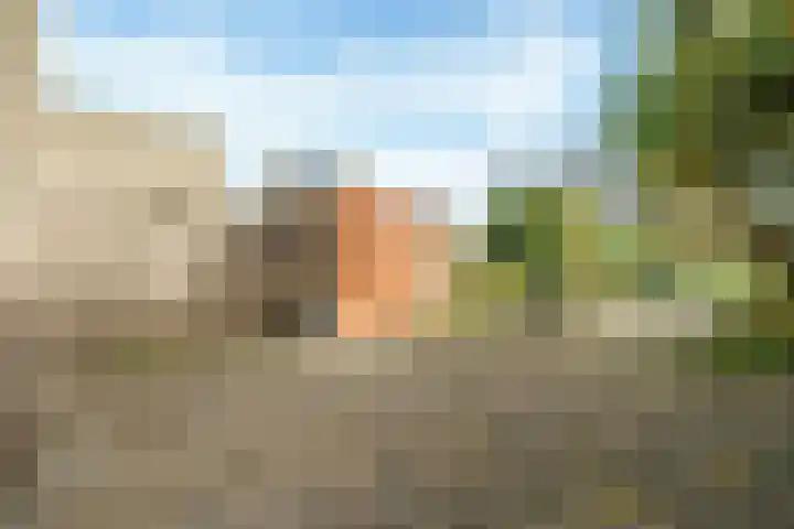 Couwenhoven 9043 Zeist thumbnail 22