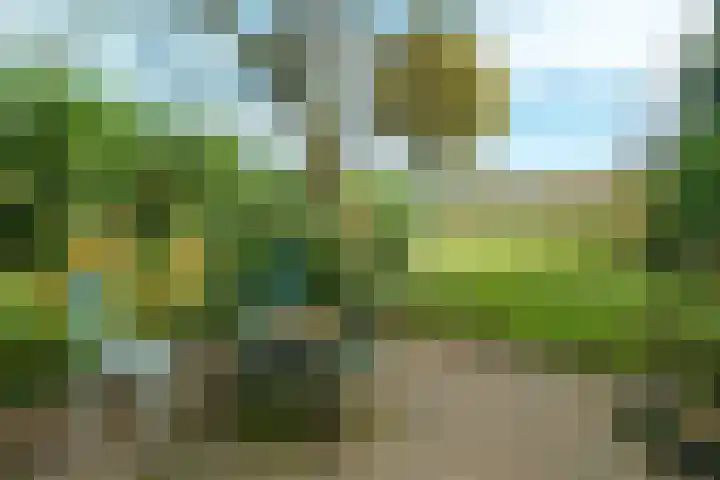 Couwenhoven 9043 Zeist thumbnail 23