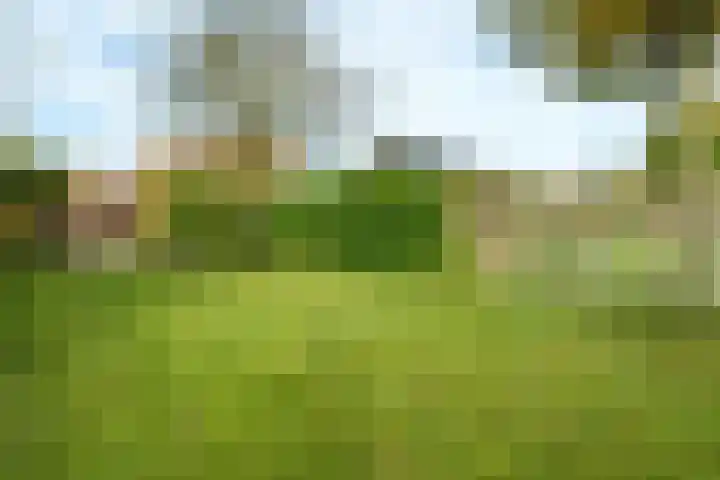 Couwenhoven 9043 Zeist thumbnail 24