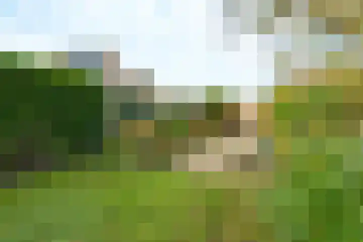 Couwenhoven 9043 Zeist thumbnail 25