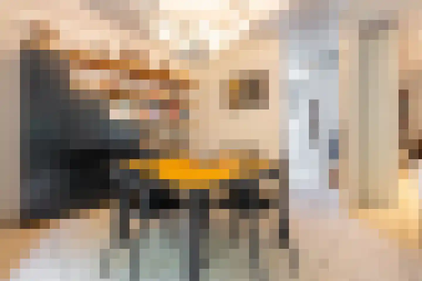 Couwenhoven 9064 Zeist thumbnail 10