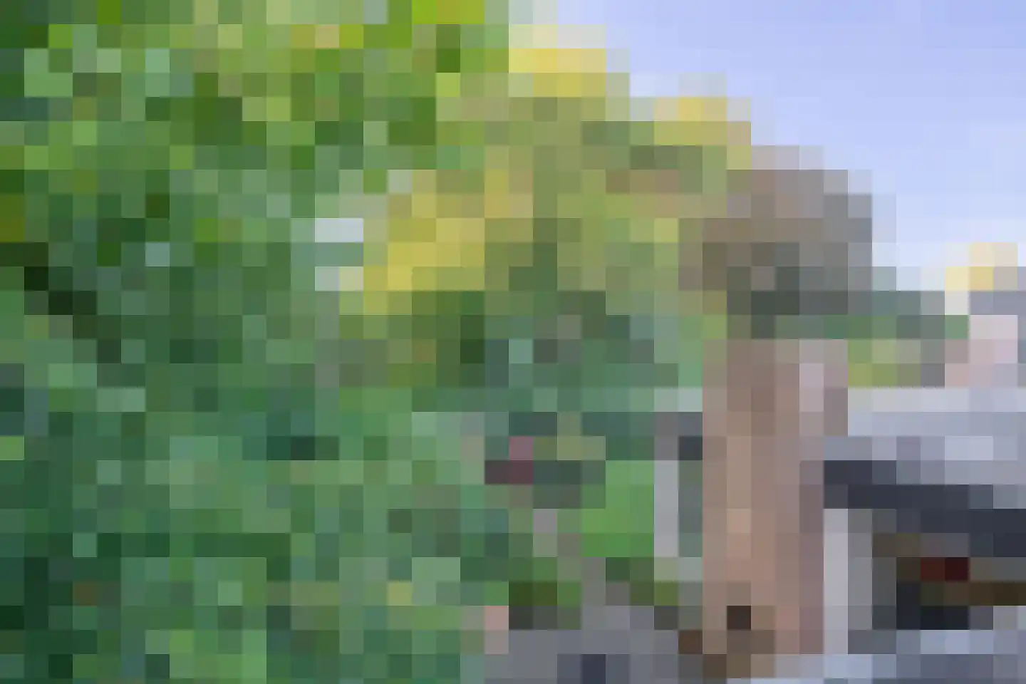 Couwenhoven 9064 Zeist thumbnail 24