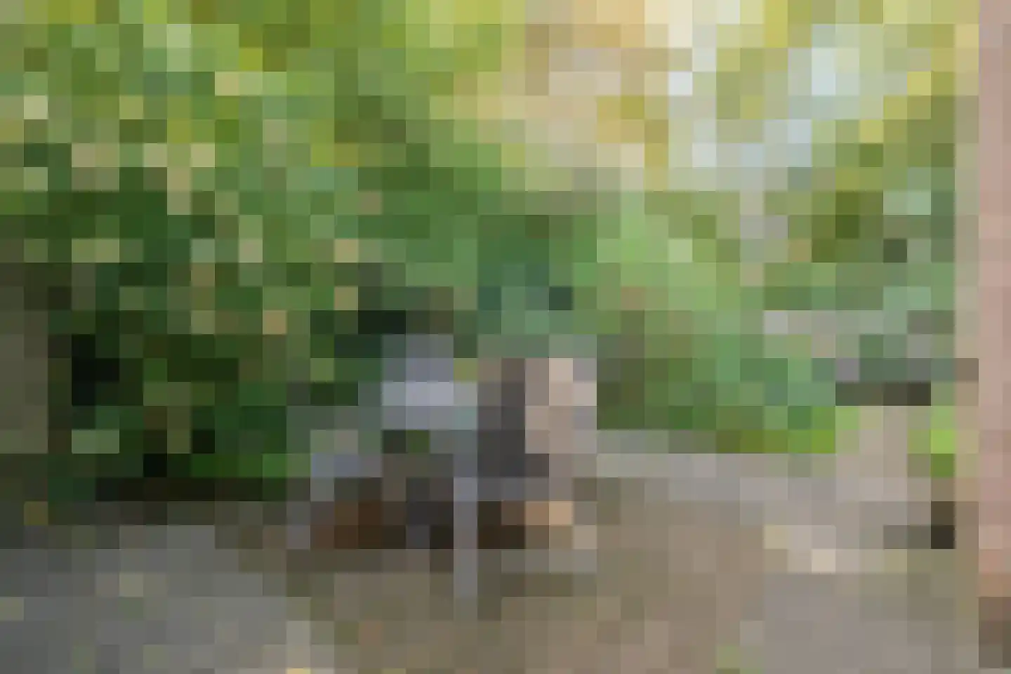 Couwenhoven 9064 Zeist thumbnail 25