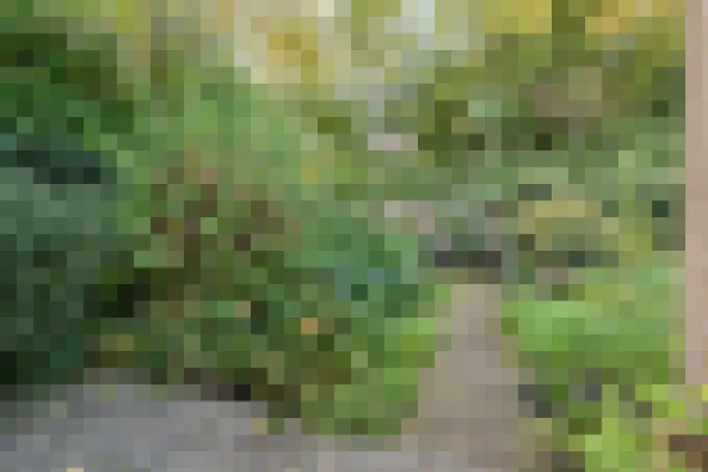 Couwenhoven 9064 Zeist thumbnail 26