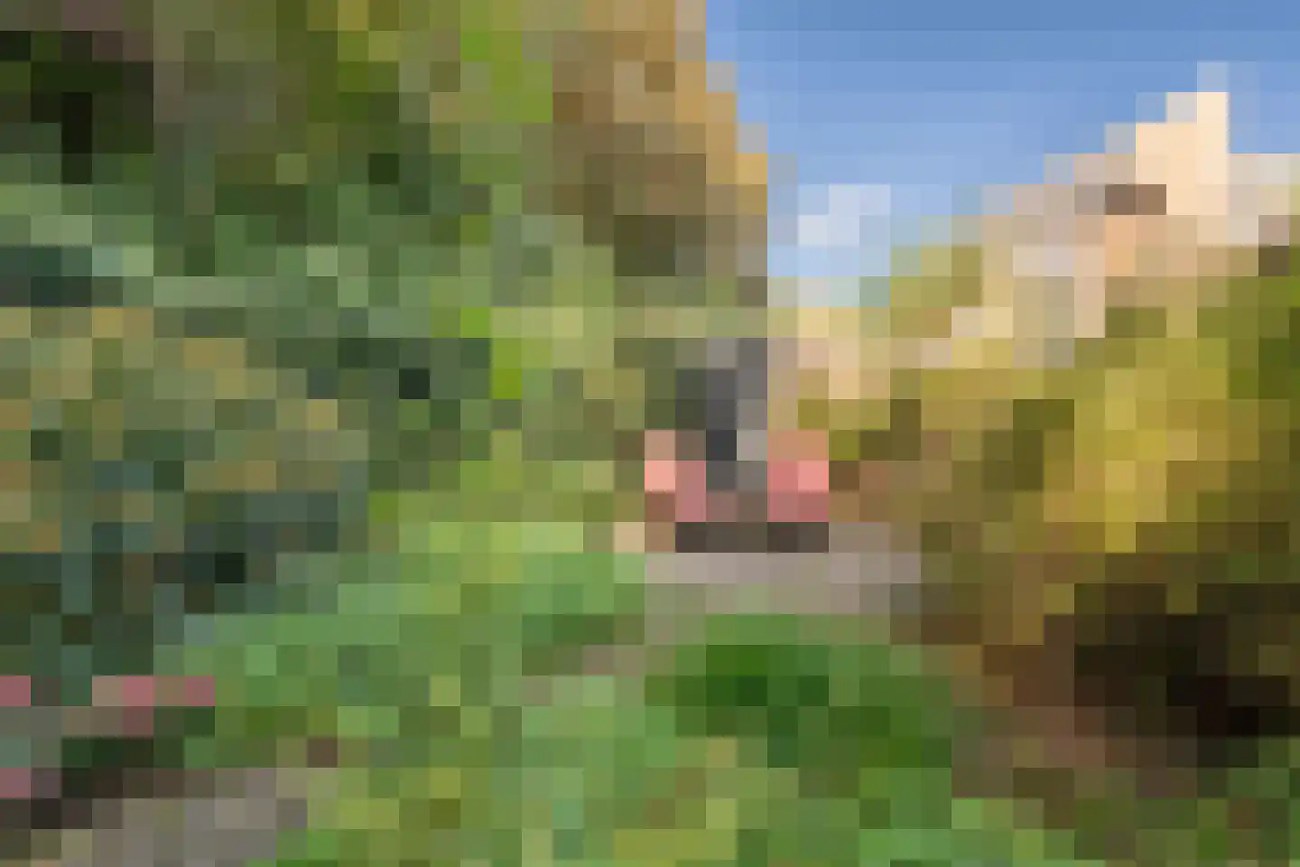 Couwenhoven 9064 Zeist thumbnail 27