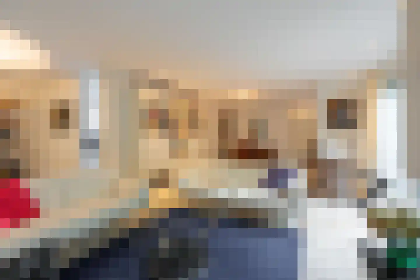 Couwenhoven 9064 Zeist thumbnail 7