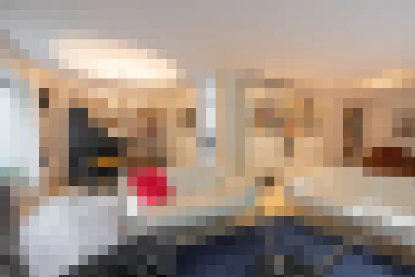 Couwenhoven 9064 Zeist thumbnail 8