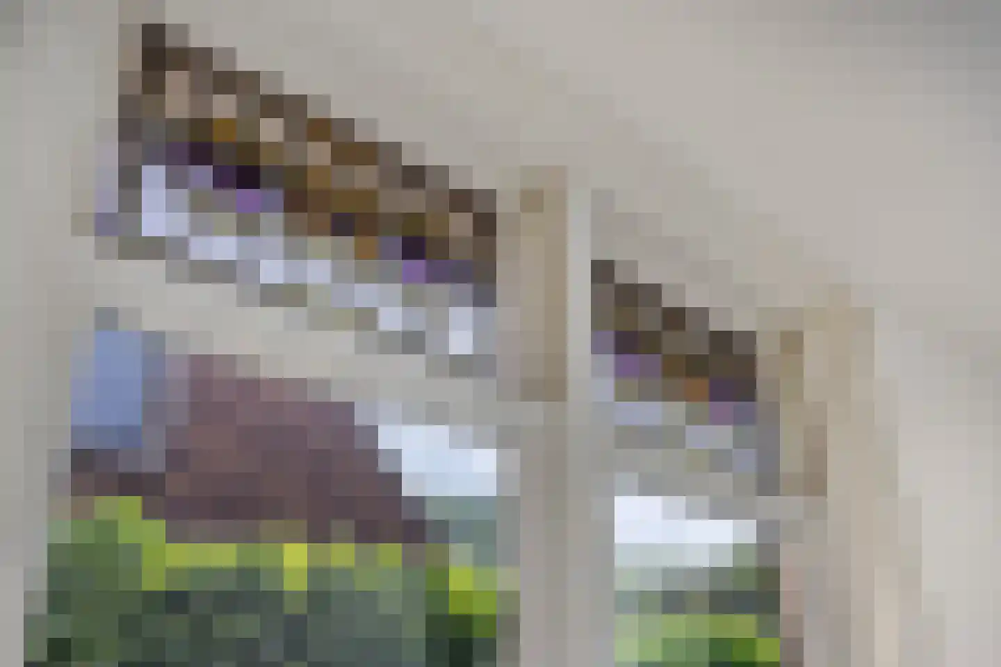 Couwervestraat 25 Goes thumbnail 12