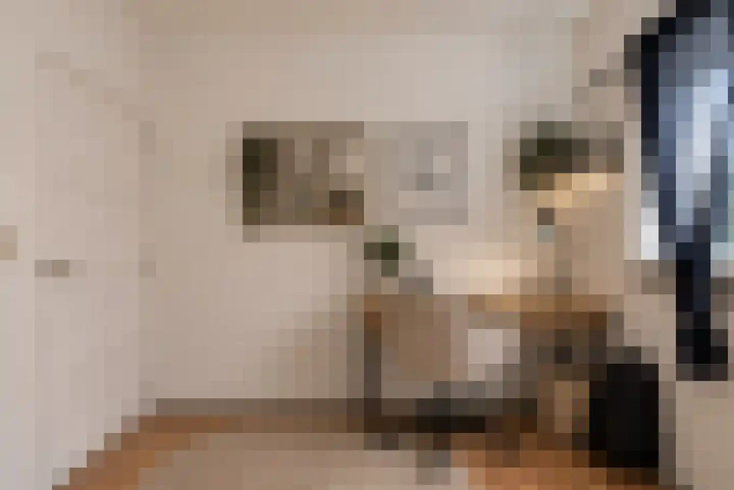 Couwervestraat 25 Goes thumbnail 29