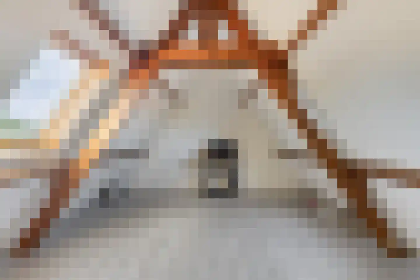 Couwervestraat 25 Goes thumbnail 30