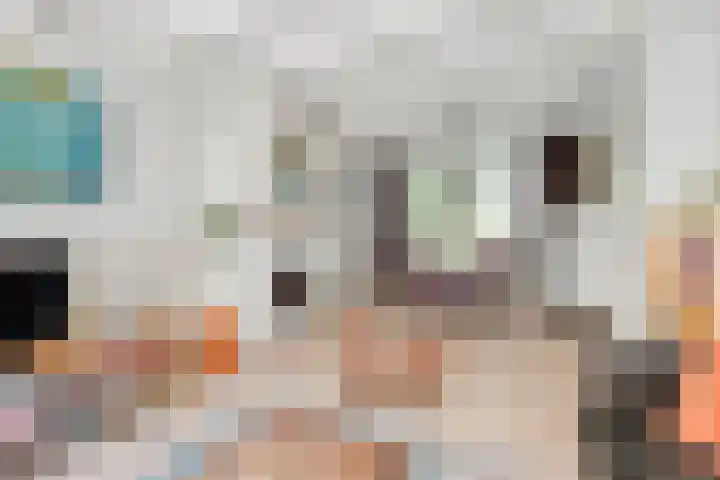 Couwervestraat 27 Goes thumbnail 11