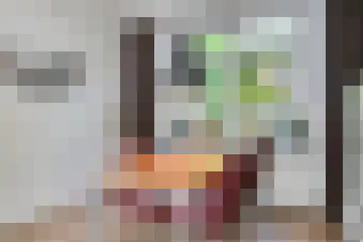 Couwervestraat 27 Goes thumbnail 14