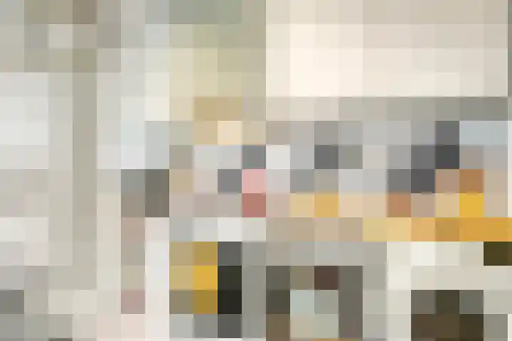 Couwervestraat 27 Goes thumbnail 15