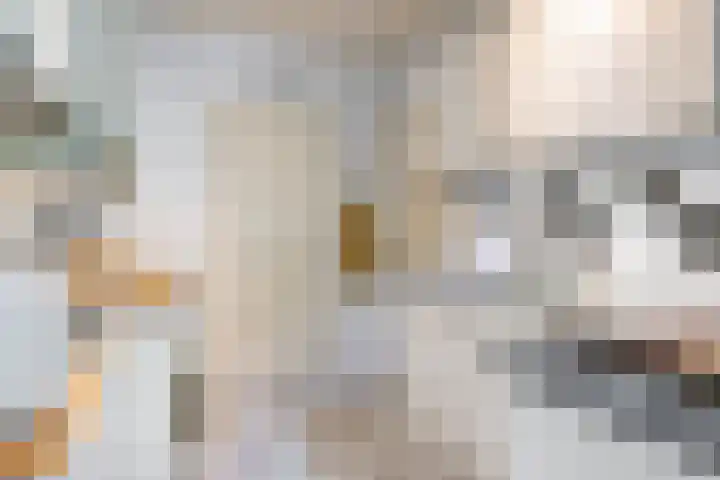 Couwervestraat 27 Goes thumbnail 16